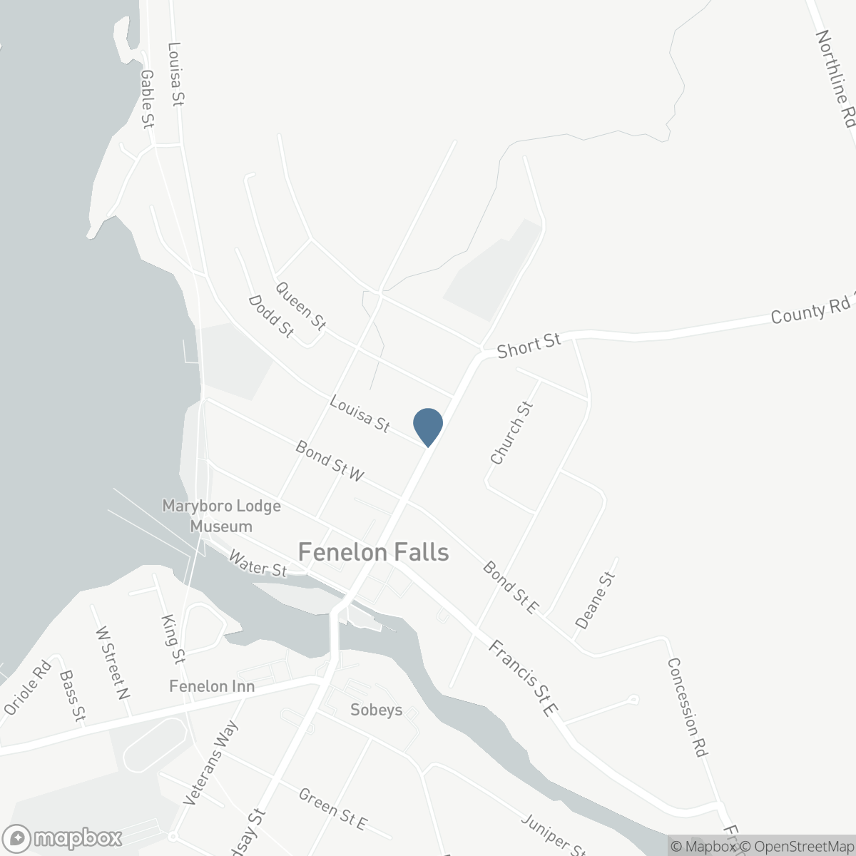 11 - 111 COLBORNE STREET, Fenelon Falls, Ontario K0M 1N0